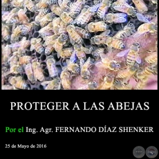 PROTEGER A LAS ABEJAS - Ing. Agr. FERNANDO DAZ SHENKER - 25 de Mayo de 2016